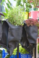Recycled tyres used as hanging plant containers for herbs and salad