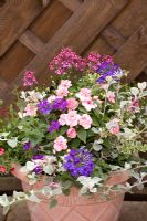 Planted summer patio pot with Impatiens 'Pink Ruffles', Verbena 'Homestead Purple', Helichrysum petiolare and Nemesia