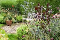Wooden bench with cobble patio and Darmera peltata, Molinia caerulea 'Variegata', Allium sphaerocephalon, Eryngium plenum, Amaranthus 'Red Hopi Dye' and Sedum 'Autumn Joy' - Southlands, NGS garden, Lancashire