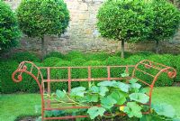 Interlocking Buxus spheres and standard Bay trees give a cool green back drop to the garden. Metal armature supports a squash plant. Yews Farm, Martock, Somerset, UK