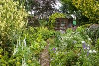 Colour themed borders of herbaceous perennials leading to summer house with flowers in profusion, packed into an idyllic English cottage garden, at Grafton Cottage ,NGS, Barton-under-Needwood Staffordshire
