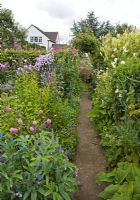 Colour themed borders of herbaceous perennials path leading to arch with flowers in profusion, packed into an idyllic English cottage garden, at Grafton Cottage ,NGS, Barton-under-Needwood Staffordshire