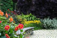 Pine Lodge Gardens - St. Austell - Cornwall Showing a curved stone seat in the 'Slave Garden' with summer border - Dahlia, Rudbeckia, Cotinus coggygria