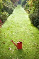 Red watering can on a lawn between two borders in autumn