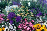Border of bedding plants with Zinnia 'Profusion Apricot' and Heliotropium arborescens