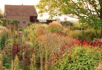 Late summer perennial boarder at the Oudolf nursery, Holland. Persicaria amplexicaulis growing in the foreground