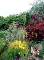 Poplar Bed with Cotinus coggygria 'Royal Purple', Pyrus salicifolia orientalis 'Pendula' - Willow leaved pear. Eleagnus 'Quicksilver', Spiraea japonica 'Goldflame. Goltho House, Lincolnshire