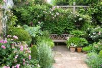 Bench seat on terrace with Rosa 'Ispahan' in the foreground and R. 'Constance Spry' over bench. Decorative paving