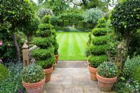 Topiary box spirals and bay standard balls around steps going from terrace to lawn. Stone lion statue as focal point