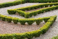 Buxus sempervirens - box hedge with different colours of decorative gravel forming parterre at Pitmedden, Aberdeenshire -  The National Trust of Scotland 