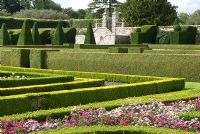 The Great Garden at Pitmedden with colourful Buxus Box edged parterres infilled with annuals. Taxus baccata - Yew - pyramids and buttresses and an elegant double staircase on the western wall. The National Trust for Scotland