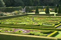 Looking down on the Great Garden at Pittmedden with colourful Buxus - Box -edged parterres infilled with annuals, Taxus baccata - Yew - clipped pyramids and herbaceous borders with trained apples on the walls behind - The National Trust for Scotland