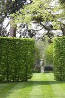 Hornbeam hedge with opening revealing vista with stone urn focal point and mature trees in background at Broughton Grange in April