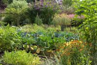Vegetables and flowers grown potager style at Malleny Garden, Midlothian, owned by The National Trust for Scotland