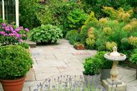 Marijke's garden. The house patio has planting spilling over the edges and enough plants in pots to soften the paving