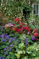 Garden view with hostas, geranium, foxgloves etc