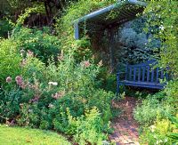 Blue arbour - Barbara Clare's garden