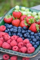 Plate with Raspberries, Blueberries Strawberries and Gooseberries