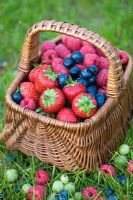 Strawberries, Blueberries and Raspberries in wicker basket
