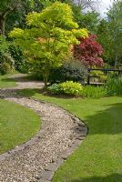 Winding stone edged gravel path leading to Japanese garden with painted wooden bridge and rich mature planting including Rhododendron, Betula papyrifera Acer palmatum, Acer shirasawanum 'Aureum', Iris and Hosta at Aureol House, NGS garden Lancashire