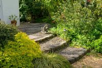 Gravel path with candle lanterns, and steps of stone setts leading to house with adjacent borders containing Elaeagnus macrophylla, Spirea, Laburnum and Carex 'Evergold' at Aureol House, Lancashire