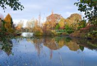 Picturesque aboretum lake and twin Monet style bridges, autumn colour from trees and shrubs at Wilkins Pleck (NGS) Whitmore near Newcastle-under-Lyme in North Staffordshire