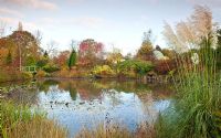 Picturesque aboretum large pond and Monet bridge and Summer House autumn colour from trees and shrubs at Wilkins Pleck (NGS) Whitmore near Newcastle-under-Lyme in North Staffordshire