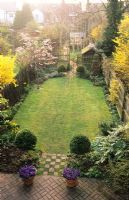 Long narrow town garden divided into sections. Formal design with lawn and box topiary nearest house leading to small woodland garden with group of birch trees and small shed. March