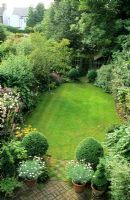 Long narrow town garden divided into sections. Formal design with lawn and box topiary nearest house leading to small woodland garden with group of birch trees and small shed. July