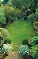 Long narrow town garden divided into sections. Formal design with lawn and box topiary nearest house leading to small woodland garden with group of birch trees and small shed. September