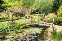 Wooden bridge over the pond in the Japanese Garden, Cookscroft Garden, Sussex