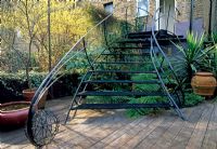 Metal staircase connects first floor to garden, tropical planting shelters under the stairs, Tree ferns, Dicksonia antartica and Cordyline australis and Rohdodendron