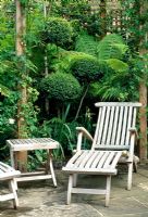 Wooden furniture on stone terrace with cloud pruned box and tree fern, Dicksonia antartica