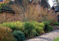 Grasses, Molinia caerulea 'Transparent' in the border with cobbled path