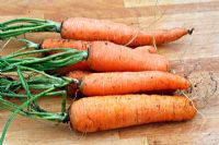 Carrots 'Resistafly'