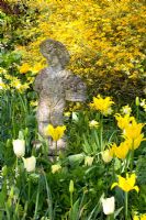 Spring border with statue and Kerria japonica 'Variegata', Tulipa 'Viola Holt' and 'Dancing Show' and Narcissus 'Pipit'