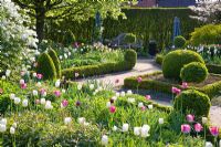A Formal Garden in Spring with clipped buxus and topiary with Tulips 'Inzell' and 'Mata Hari'