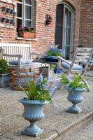 A seating area on terrace in Spring with containers of Muscaris