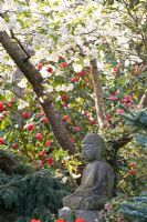 Oriental themed garden with Buddha statue and Prunus serrulata 'Shirotae' in the background