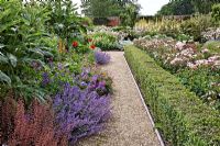Buxus hedging contains massed planted  roses, Rosa 'Felicia' and Rosa 'Charles de Mills' while Nepeta racemosa - Catmints and Heuchera 'Plum Pudding' spill over the gravel path. With Cardoons , Geranium psilostemon, Papaver 'Beauty of Livermore' - Belmont Park