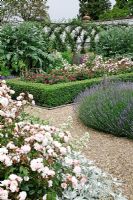 Lavandula angustifolia 'Folgate',  Rosa 'Felicia', Artemisia luduvicana 'Silver Queen', Buxus enclosed rose border, fruit tunnel with trained apples and pears, espalier pears, Cardoons, behind the Victorian greenhouse - Belmont Park