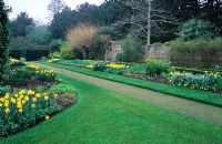 Blue and Yellow herbaceous border - Fellows' Garden, Clare College, Cambridge
