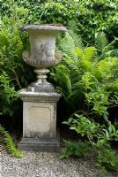 Large weathered classical urn as architectural feature on gravel against green foliage of Matteuccia struthiopteris and Hedera 