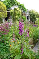 Raised border with cottage garden plants including Aquilegia, Meconopsis cambrica and Digitalis purpurea with path leading to Indian doorway of a garden feature affectionately called the 'Taj' - Montford Cottage, Lancashire 