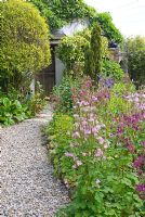 Stone edged bed with cottage garden plants including Aquilegia with gravel path leading to wooden door of potting shed covered in Hedera - Montford Cottage, Lancashire