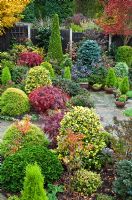 Acers and many deciduous trees and shrubs grown for their foliage, showing stunning autumnal tints and hues with wide variety of evergreens and conifers around patio - Four Seasons Garden NGS, Walsall, Staffordshire 
