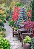 Pathway leading to quiet seating area in Japanese style garden in autumn with Acers, deciduous trees, shrubs and conifers grown for their foliage, some showing stunning autumnal tints and hues - Four Seasons Garden NGS, Walsall, Staffordshire 

