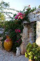 Bougainvillea growing up stone wall - Il Collegio, Puglia, Italy