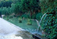 Naturalistic pond with simple waterfall and marginal plants - Fossar de la Pedrera, Barcelona, Spain