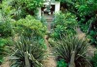 Mainly evergreen London garden with classic layout of obelisks, planting includes Phormium tenax, Magnolia, Cordyline australis, Yucca, Wisteria, Cyana, Nicotiana, Palm and Catalpa